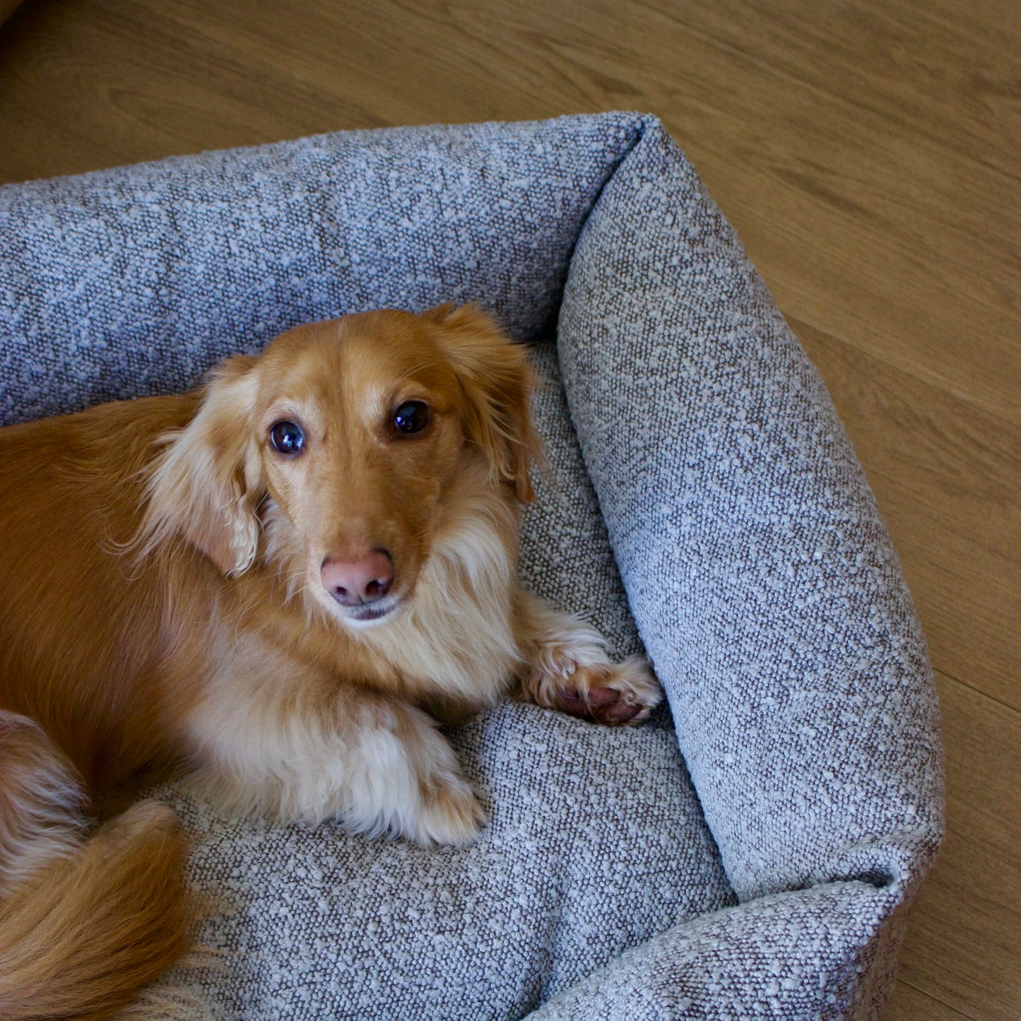 CAMA MAYA TOFFEE