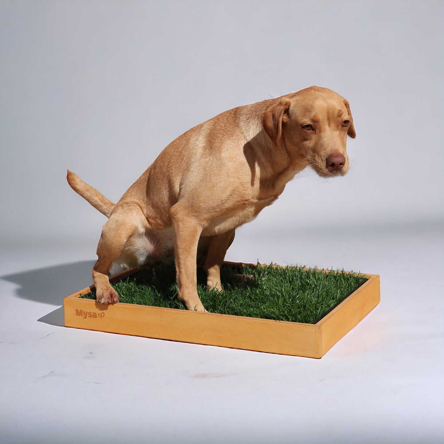 WC CANINO CÉSPED 100% NATURAL + MARCO DE MADERA
