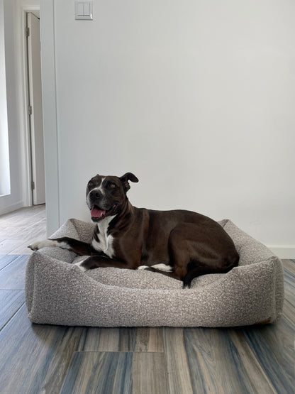 CAMA MAYA TOFFEE