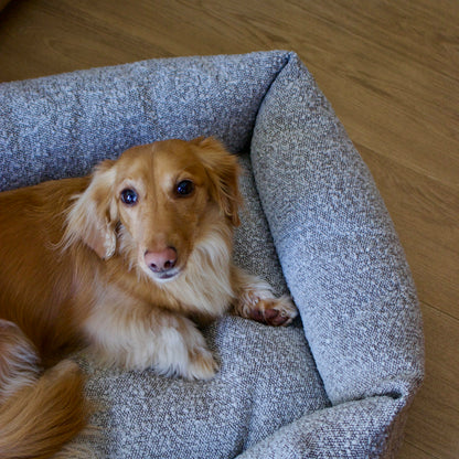 CAMA MAYA TOFFEE