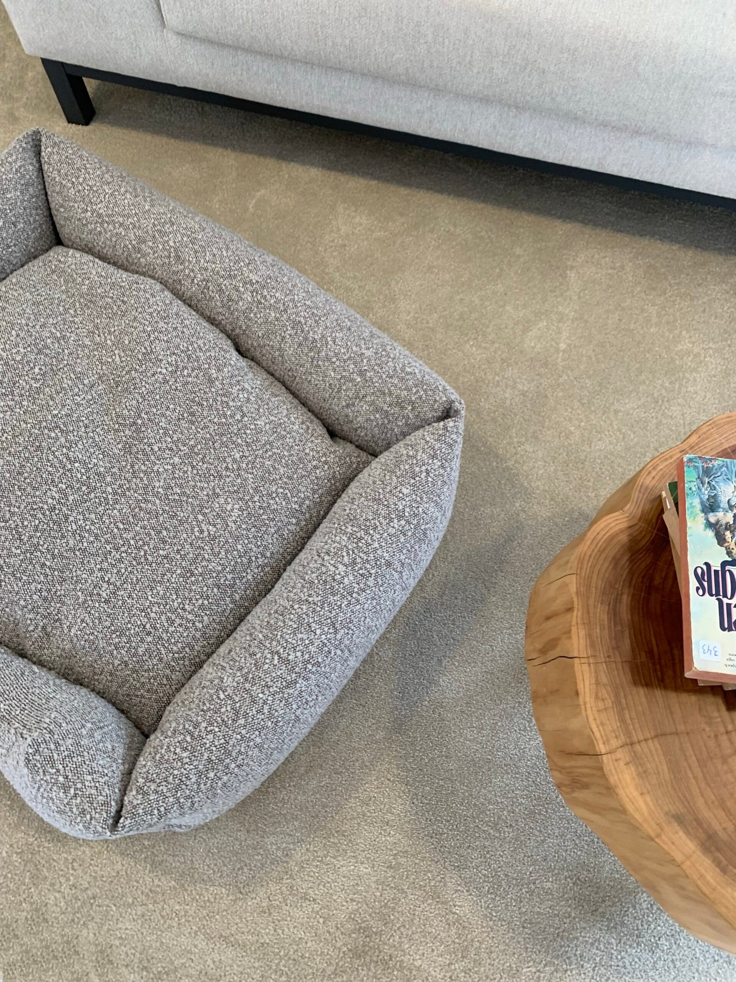 CAMA MAYA TOFFEE